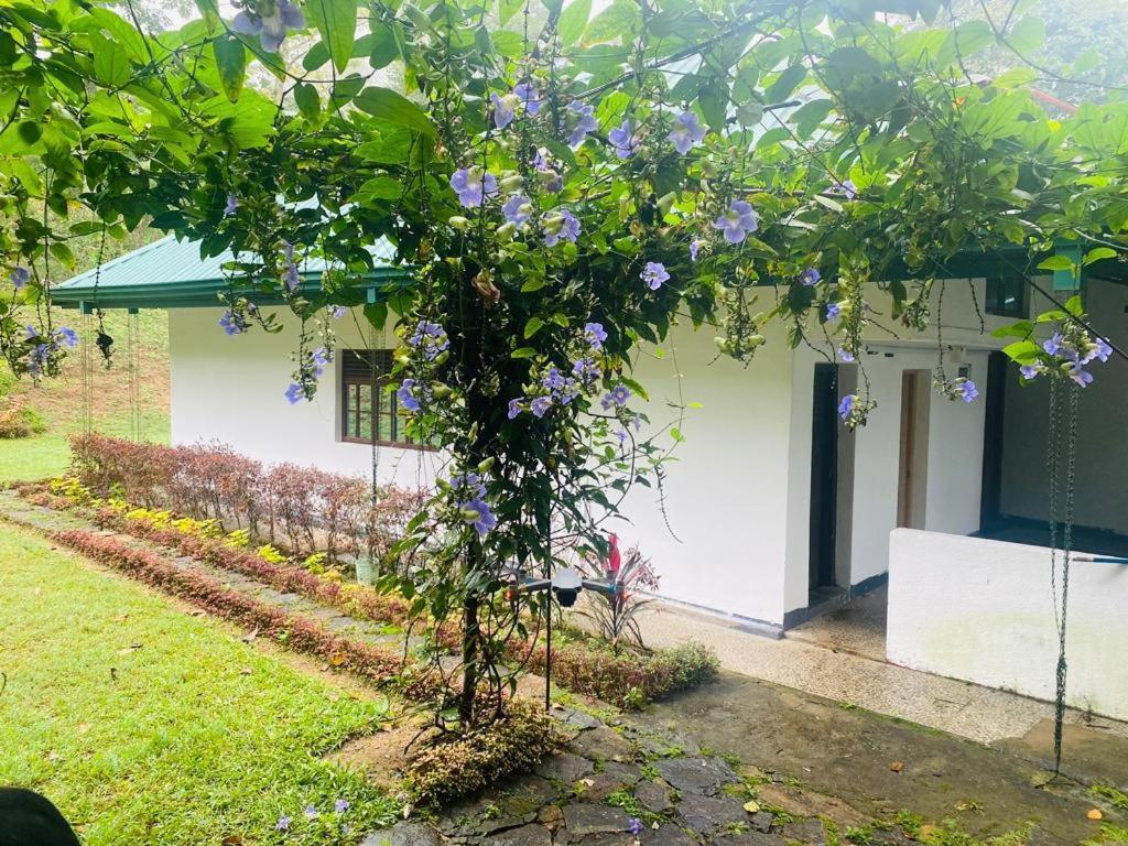 Tearamb Holiday Bungalow Otalawa Εξωτερικό φωτογραφία